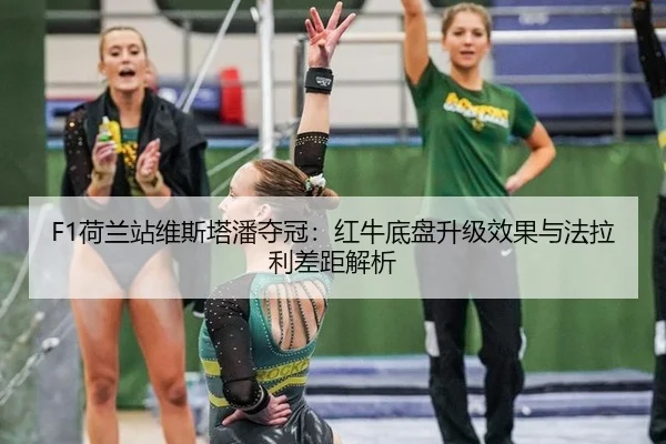 he-lan-zhan-wei-si-ta-pan-duo-guan-hong-niu-di-pan-sheng-ji-xiao-guo-yu-fa-la-li-cha-ju-jie-xi-2-508.jpg